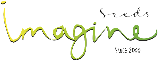 Seeds Imagine